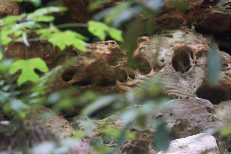 Gladie Creek &amp; Red River